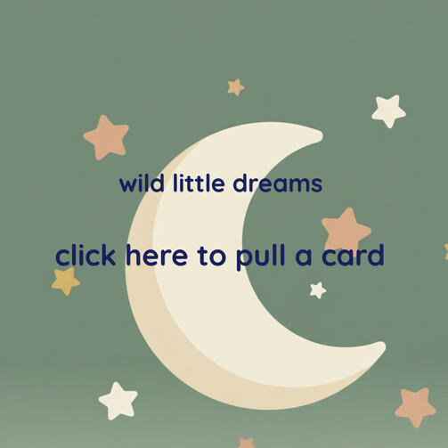 Wild Little Dreams Wild Little Dreams