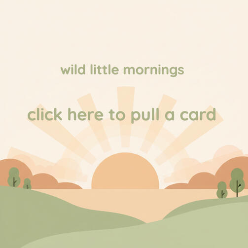 Wild Little Mornings Wild Little Mornings
